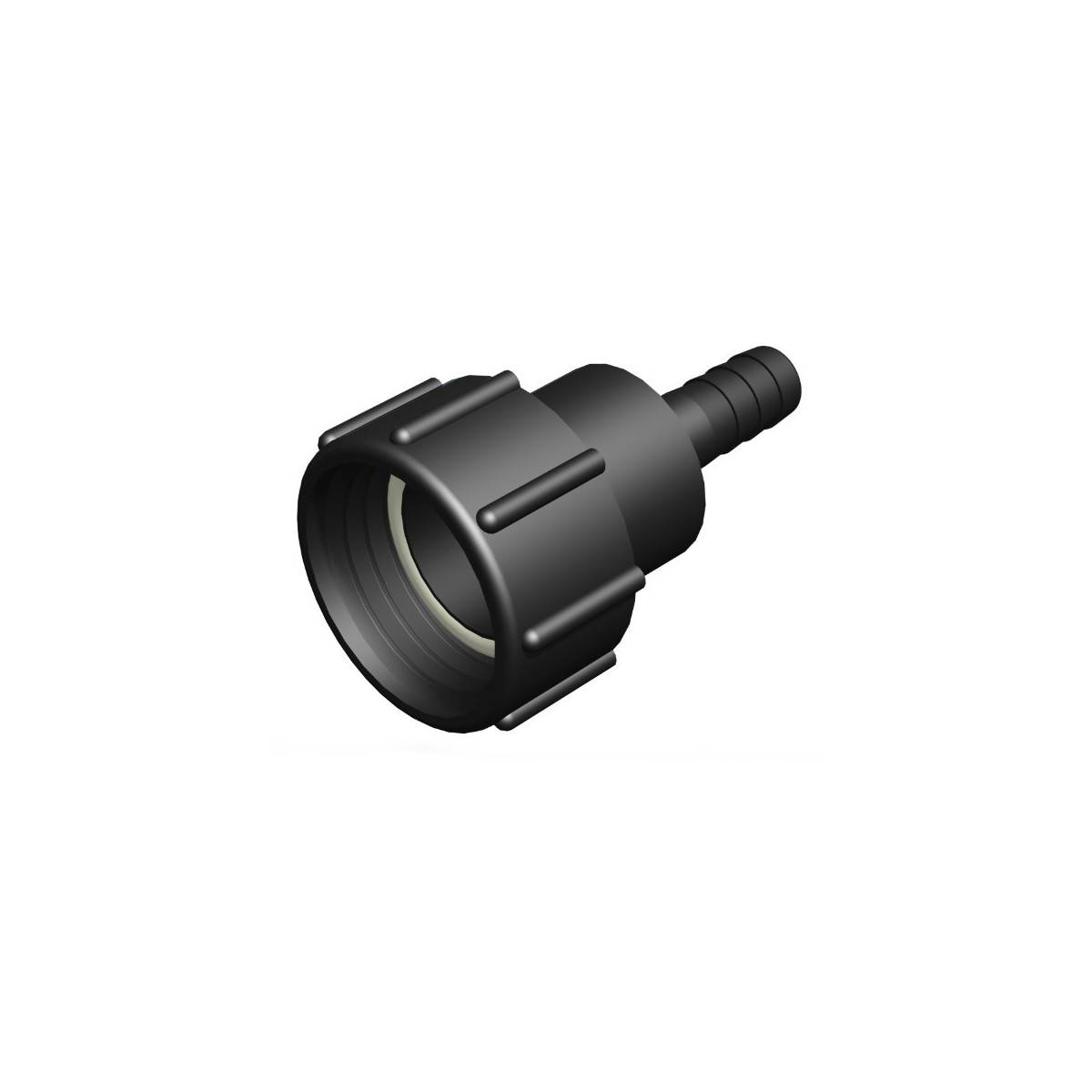 S60x6 conector hembra - recta de 19 mm ranurado macho