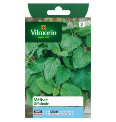 Lemon balm