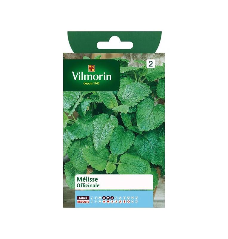 Lemon balm