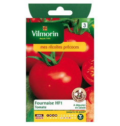 Tomato HF1 Ofen