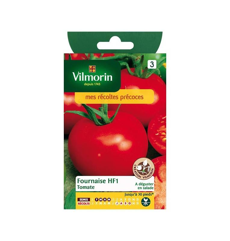 Tomato HF1 Ofen