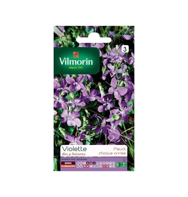 Violet 4 seasons fragrant