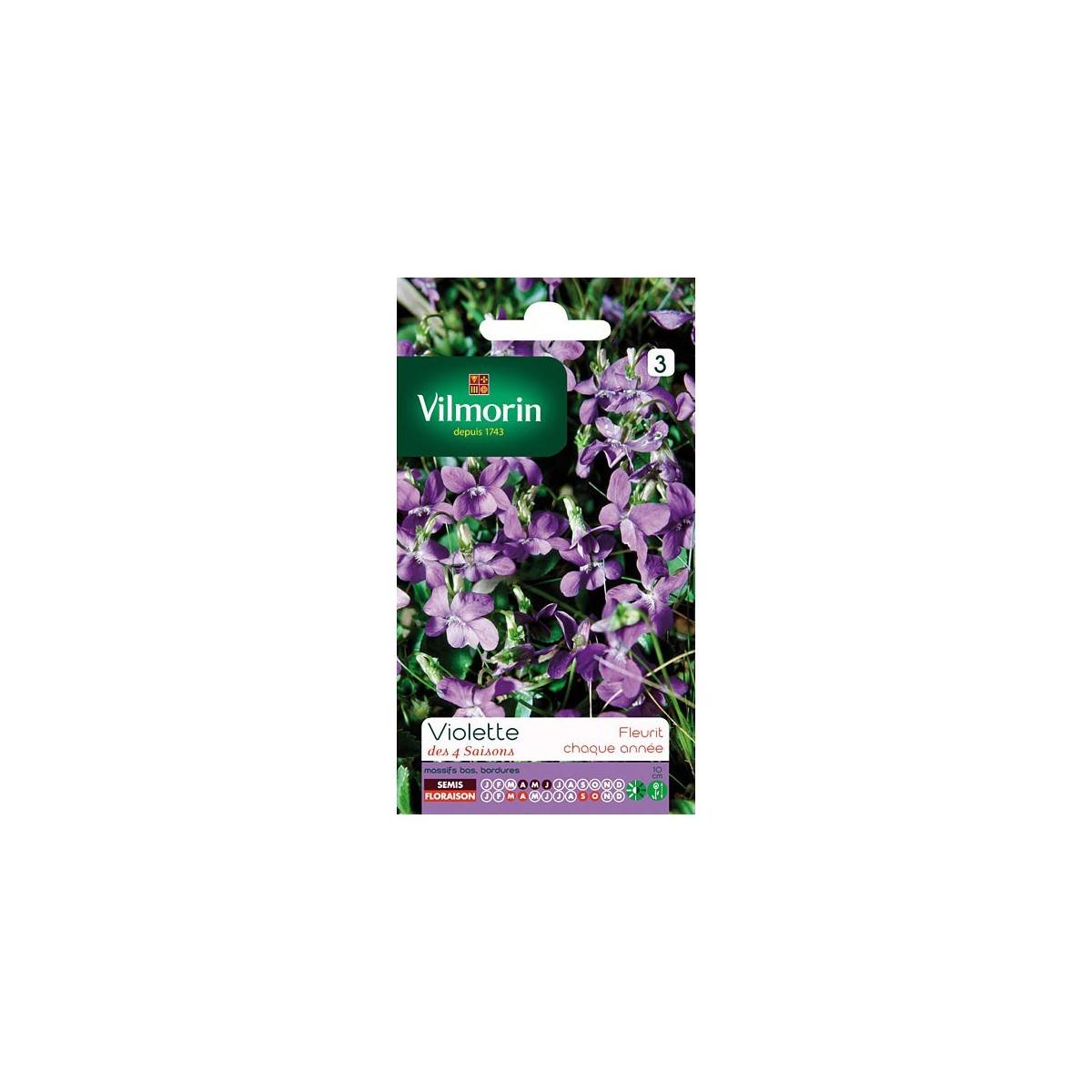 Violet 4 seasons fragrant