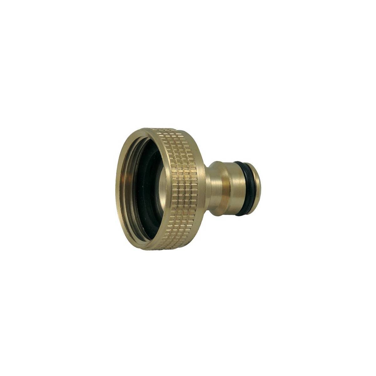 Latón 19 mm hembra adaptador (3/4 ")