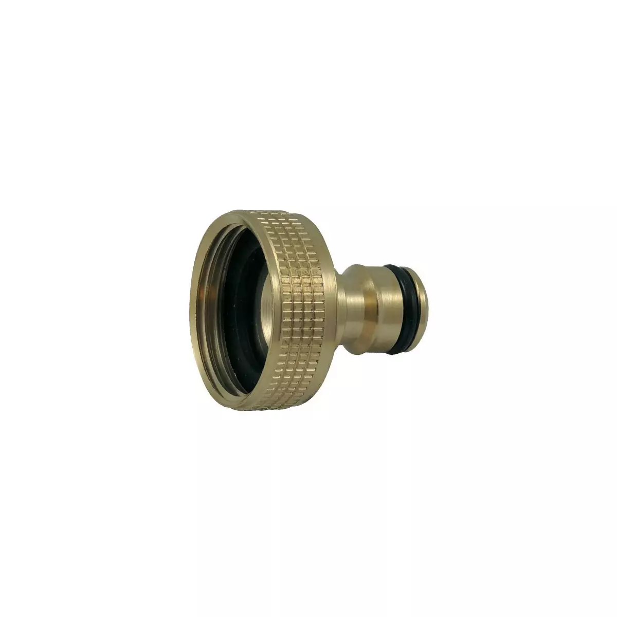 Latón 19 mm hembra adaptador (3/4 ")