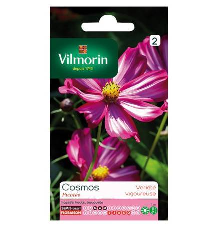 Seeds Cosmos pocketed bags Vilmorin