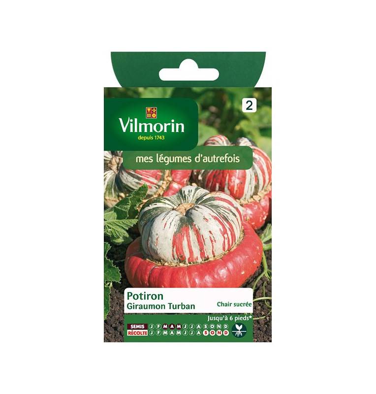 Bag seeds Pumpkin Giraumon Turban vilmorin