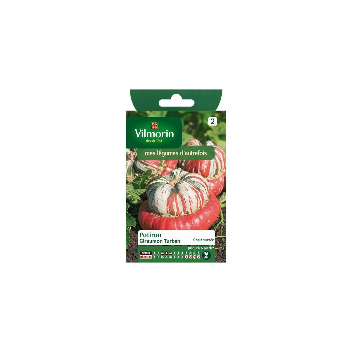 Sachet graines Potiron Giraumon Turban vilmorin