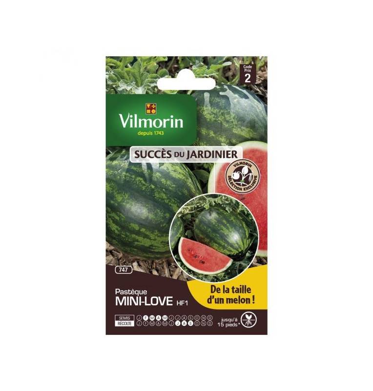 sachet seeds Watermelon mini love HF1 Vilmorin