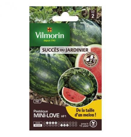 sachet seeds Watermelon mini love HF1 Vilmorin