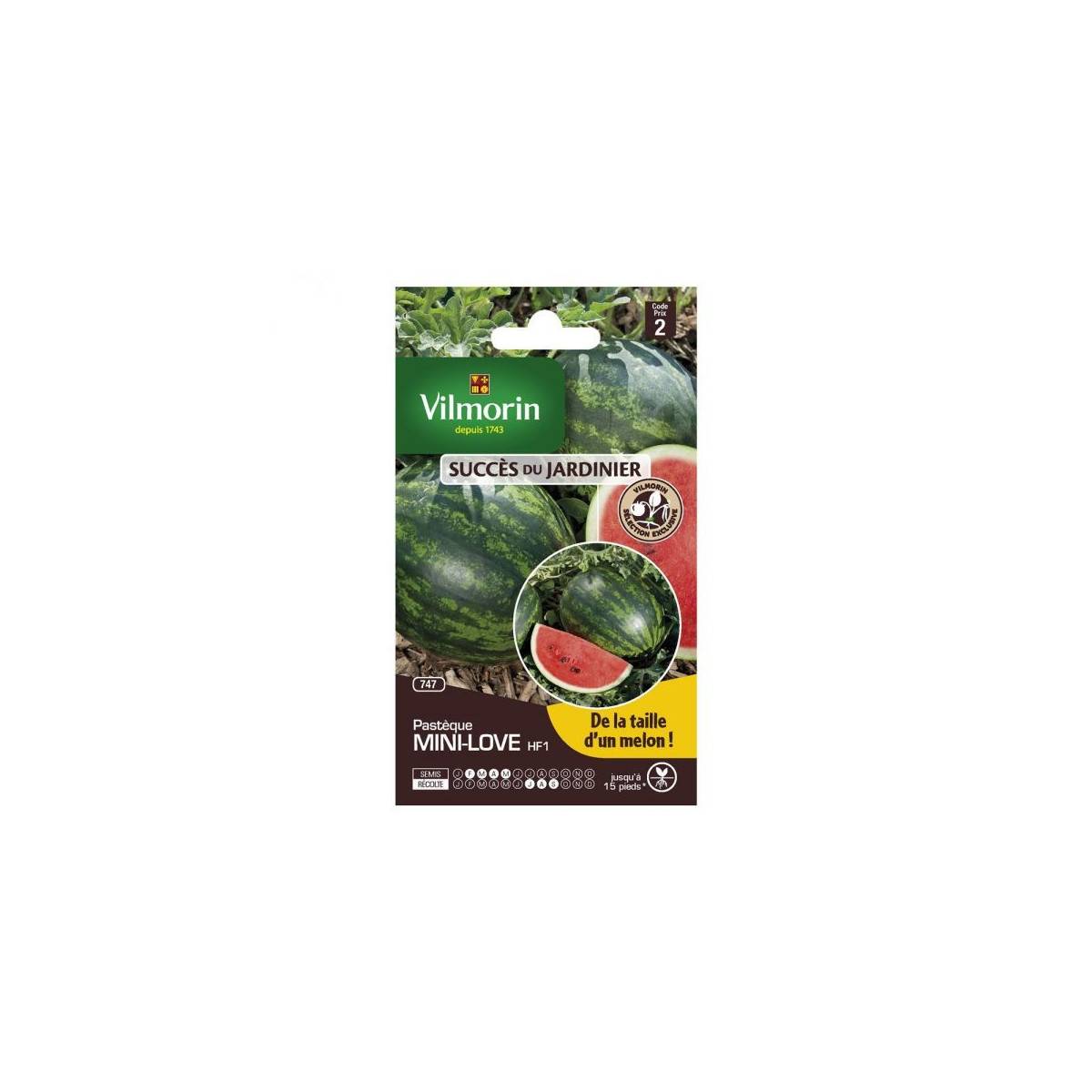 sachet seeds Watermelon mini love HF1 Vilmorin