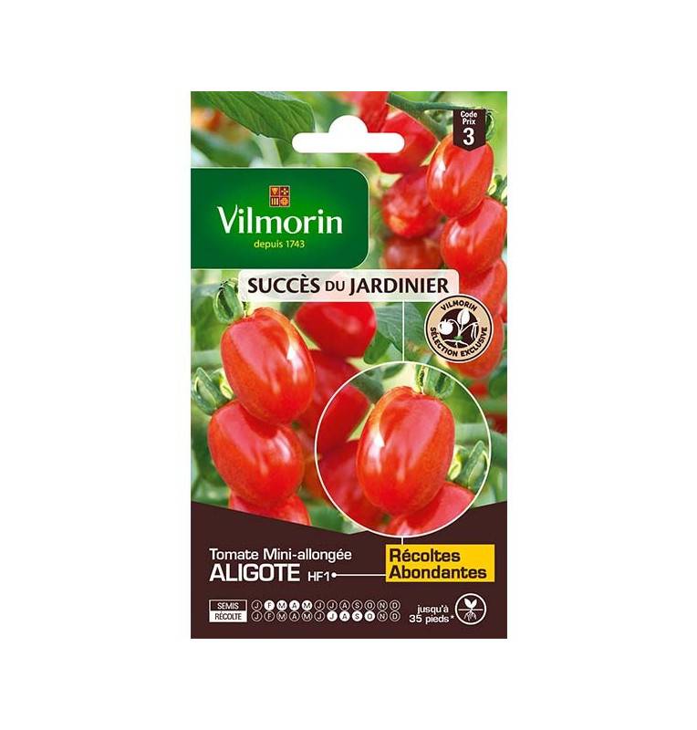 Tomatensamen bag Aligote HF1 Vilmorin