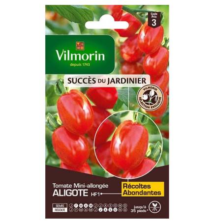 Tomatensamen bag Aligote HF1 Vilmorin