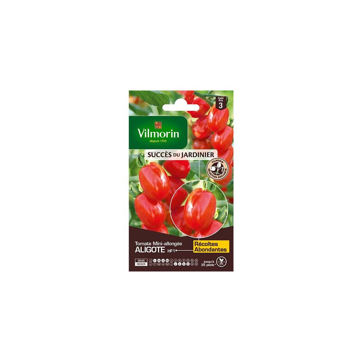 sachet graines Tomate Aligote HF1 vilmorin