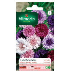 Bolsa knapweed semillas Blueberry Vilmorin variada dual