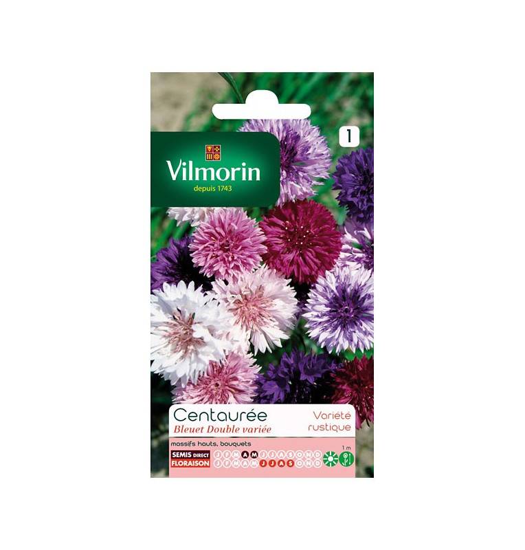 Tasche knapweed Samen Dual variiert Vilmorin blueberry