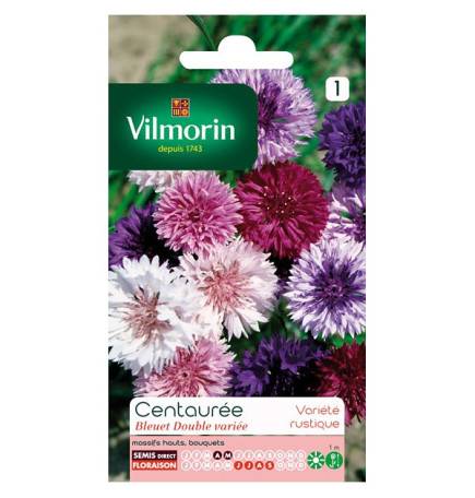 Tasche knapweed Samen Dual variiert Vilmorin blueberry