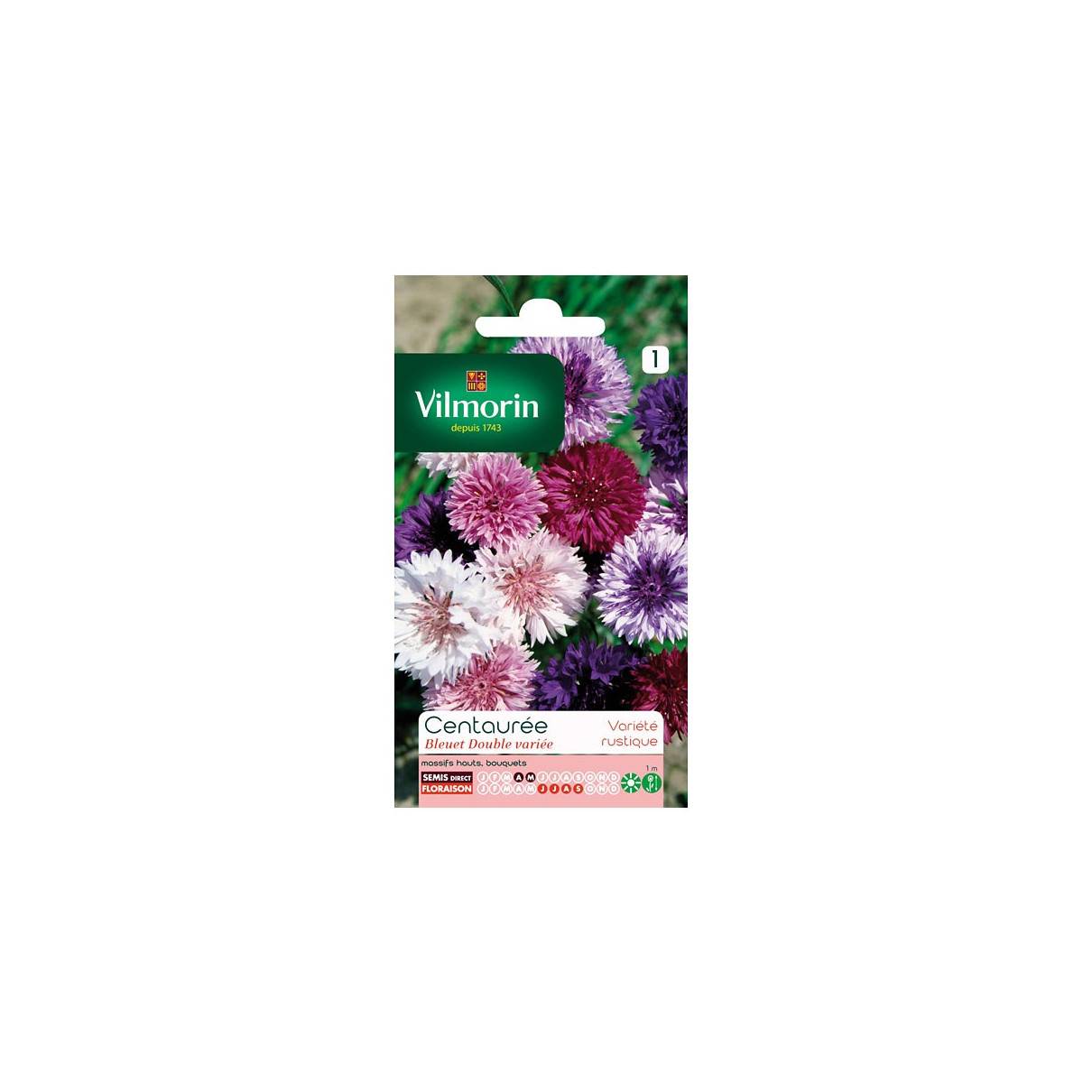 Tasche knapweed Samen Dual variiert Vilmorin blueberry