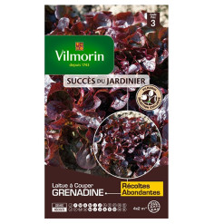 Product sheet Lettuce with grenadine cut