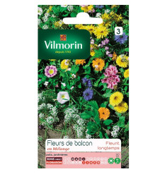 Sachet graines Fleurs de balcon annuelle en mélange