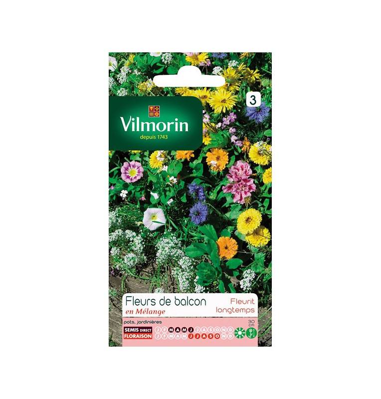 Sachet graines Fleurs de balcon annuelle en mélange