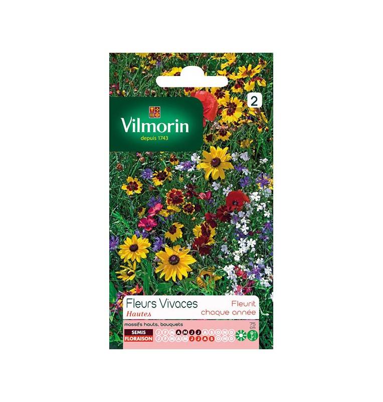 Sachet seeds high perennial flowers