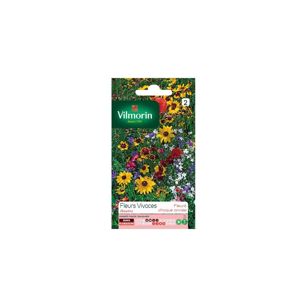 Sachet seeds high perennial flowers