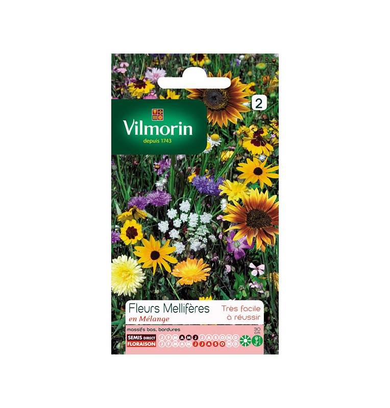 Mixed Flower Seeds Packet