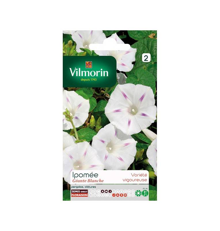 White giant Ipomoea seed bag