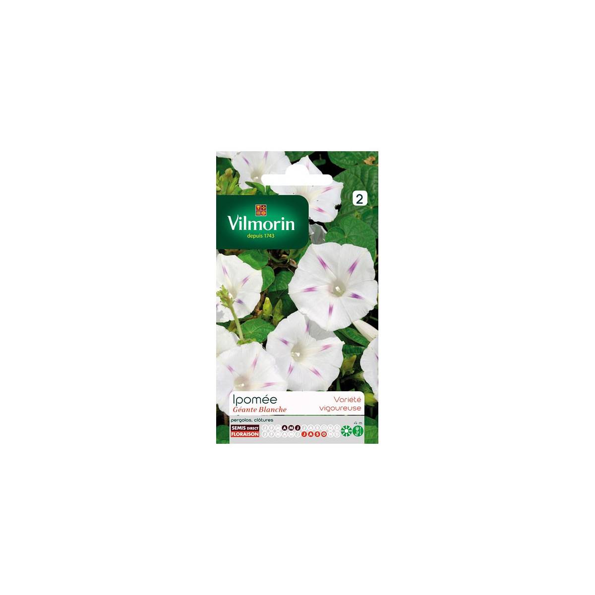 White giant Ipomoea seed bag