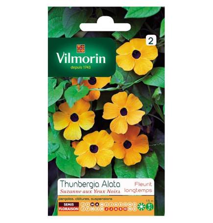 Sachet seeds Thunbergia Alata suzanne with black eyes