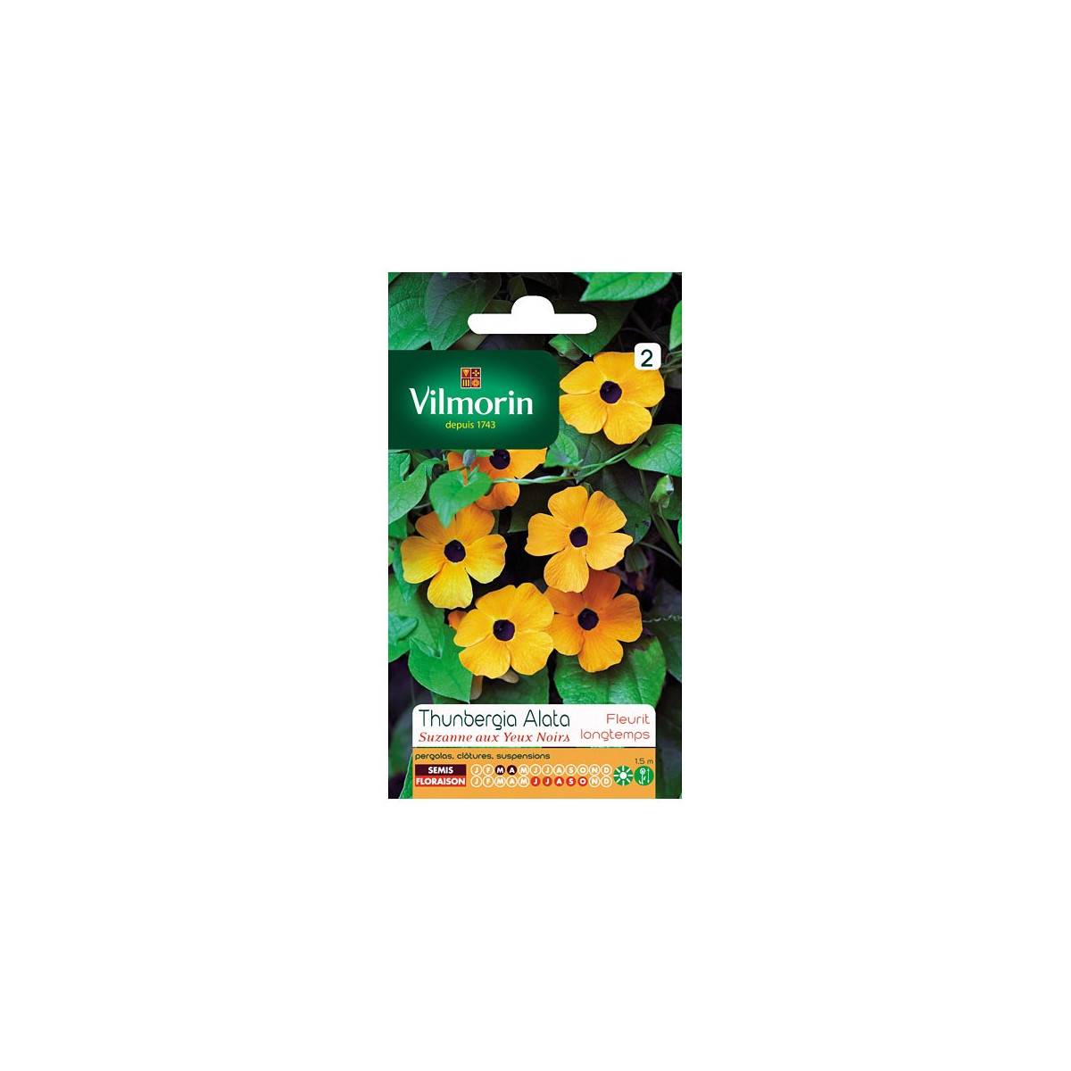 Sachet seeds Thunbergia Alata suzanne with black eyes