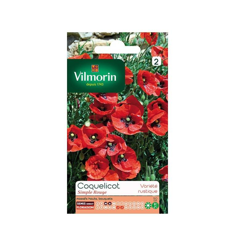 Sachet graines Coquelicot simple rouge