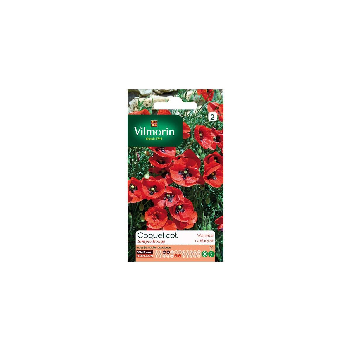 Sachet graines Coquelicot simple rouge