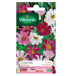 Sachet graines Cosmos Aldebaran