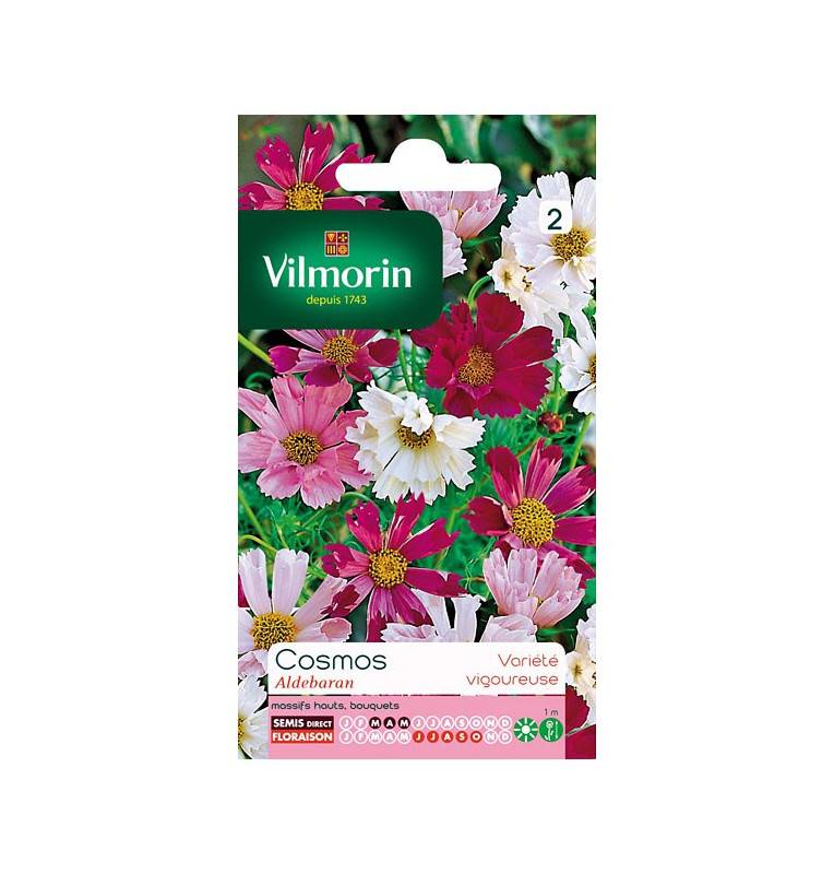 Sachet graines Cosmos Aldebaran