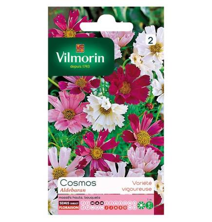 Sachet graines Cosmos Aldebaran