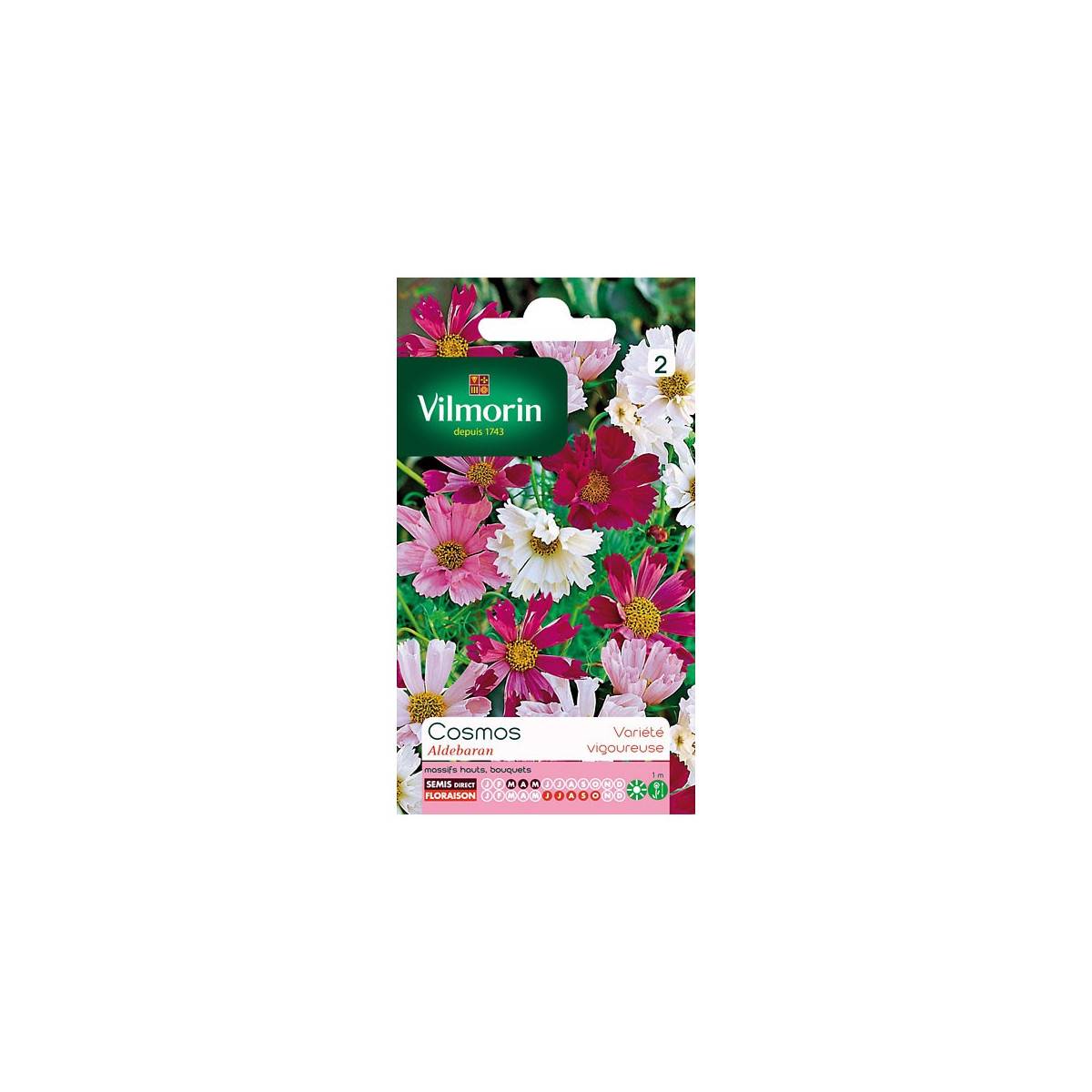 Sachet graines Cosmos Aldebaran