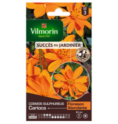 Sachet graines Cosmos Sulphureus Carioca