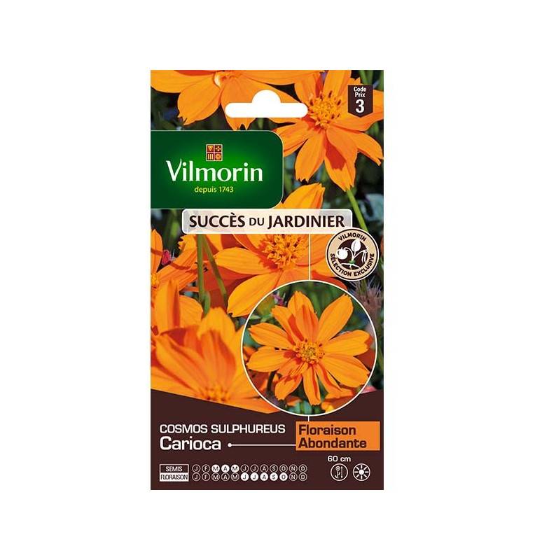 Sachet graines Cosmos Sulphureus Carioca