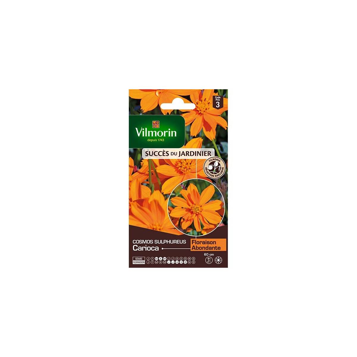 Sachet graines Cosmos Sulphureus Carioca