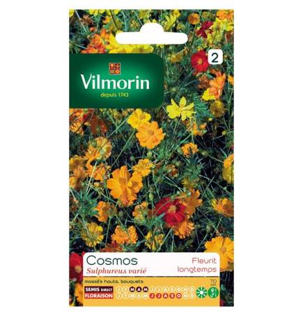 Sachet graines Cosmos Sulphureus varié