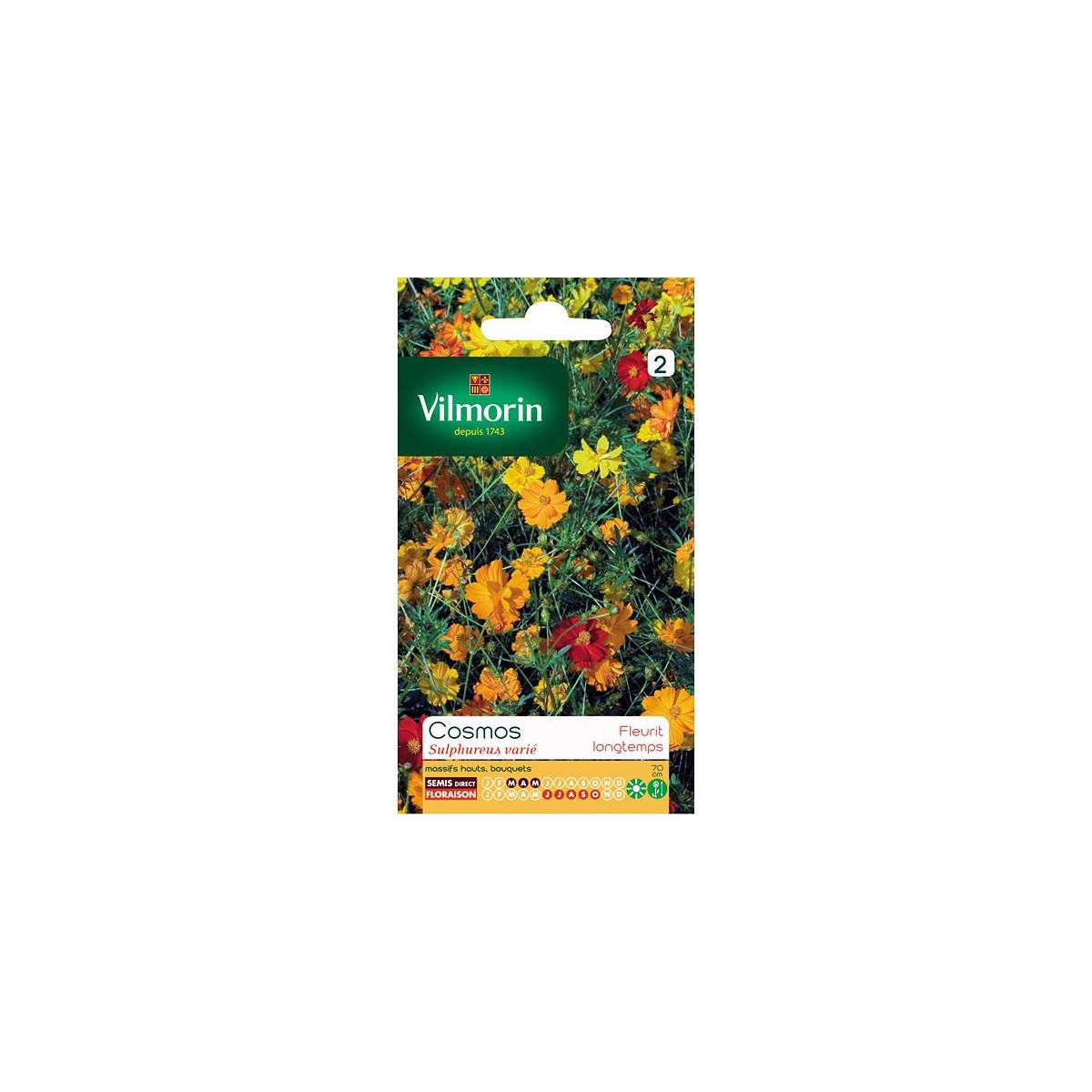 Sachet graines Cosmos Sulphureus varié