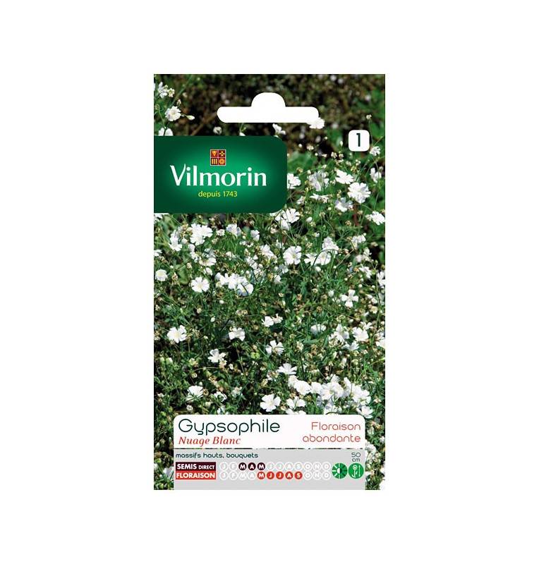 Sachet graines Gypsophile nuage blanc