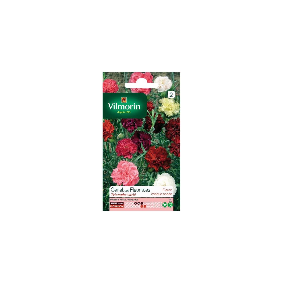 Sachet graines Oeillet des fleuristes Triomphe Varié