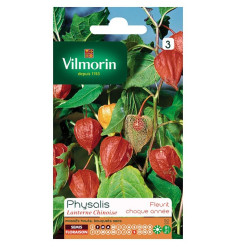 Sachet Seeds Physalis Chinese Lantern