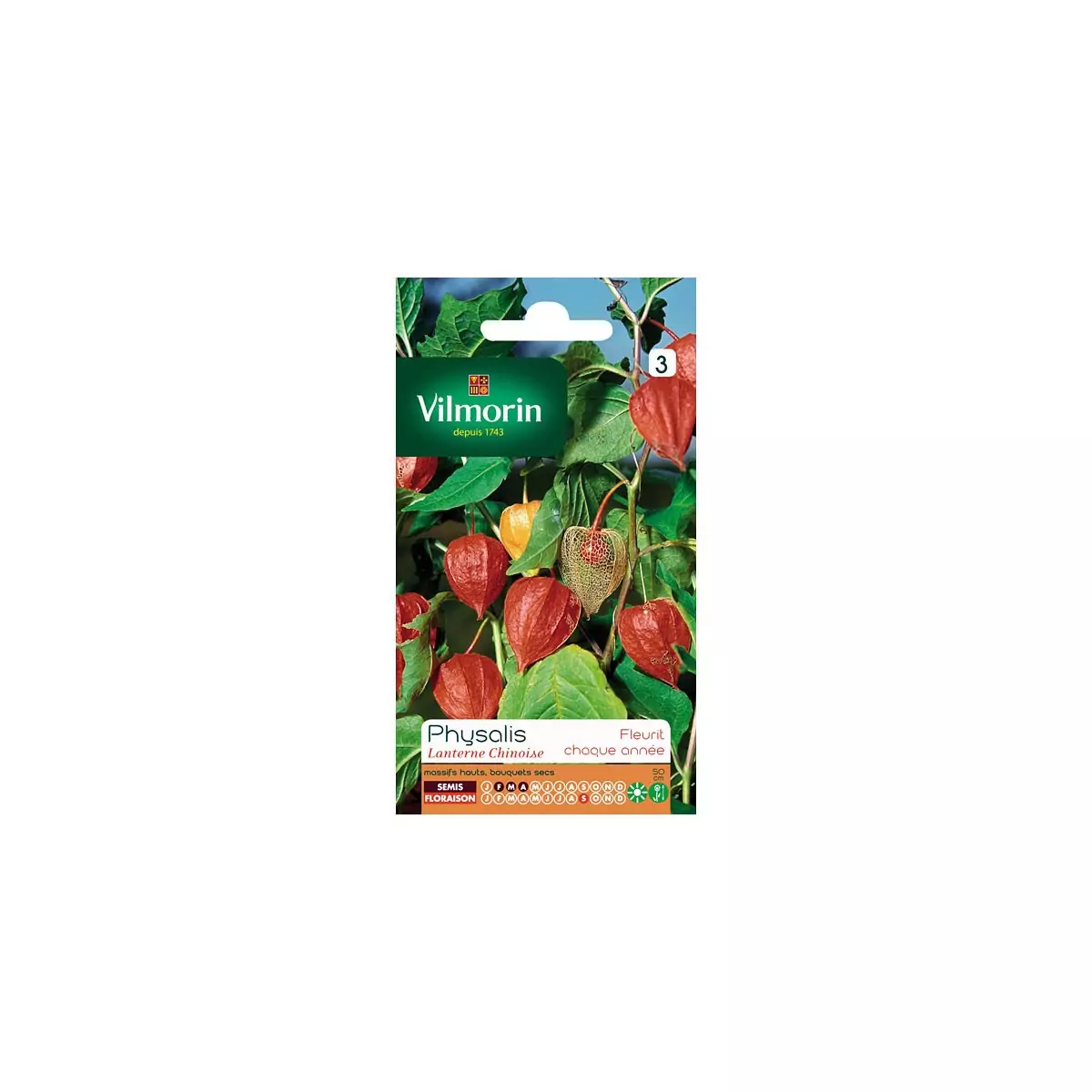 Sachet graines Physalis Lanterne chinoise