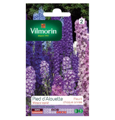 Sachet graines Pied d'Alouette Delphinium vivace varié