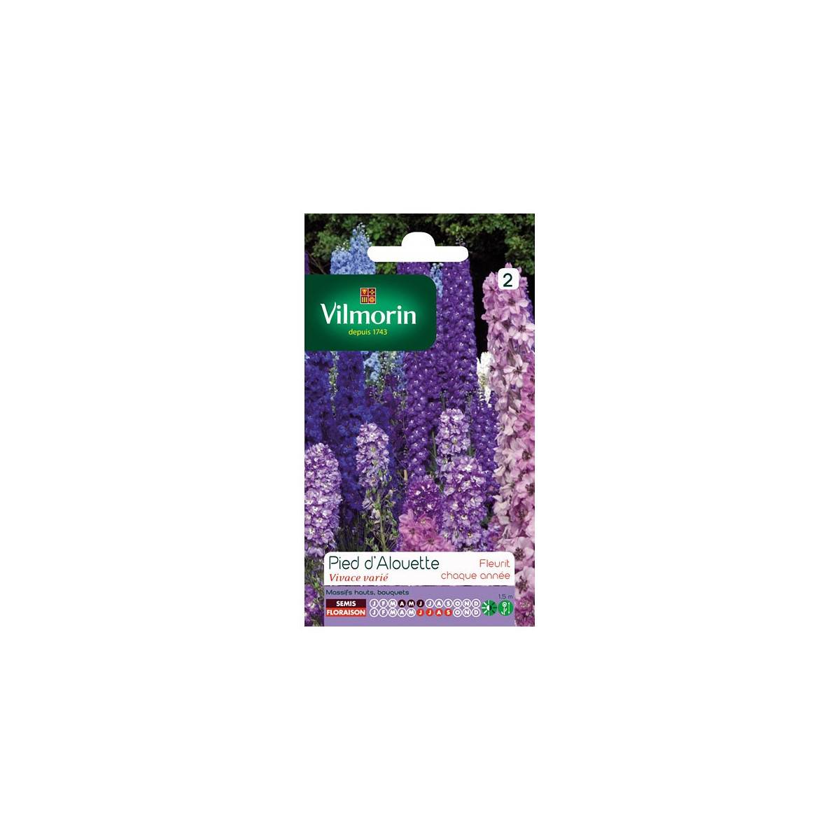 Sachet graines Pied d'Alouette Delphinium vivace varié