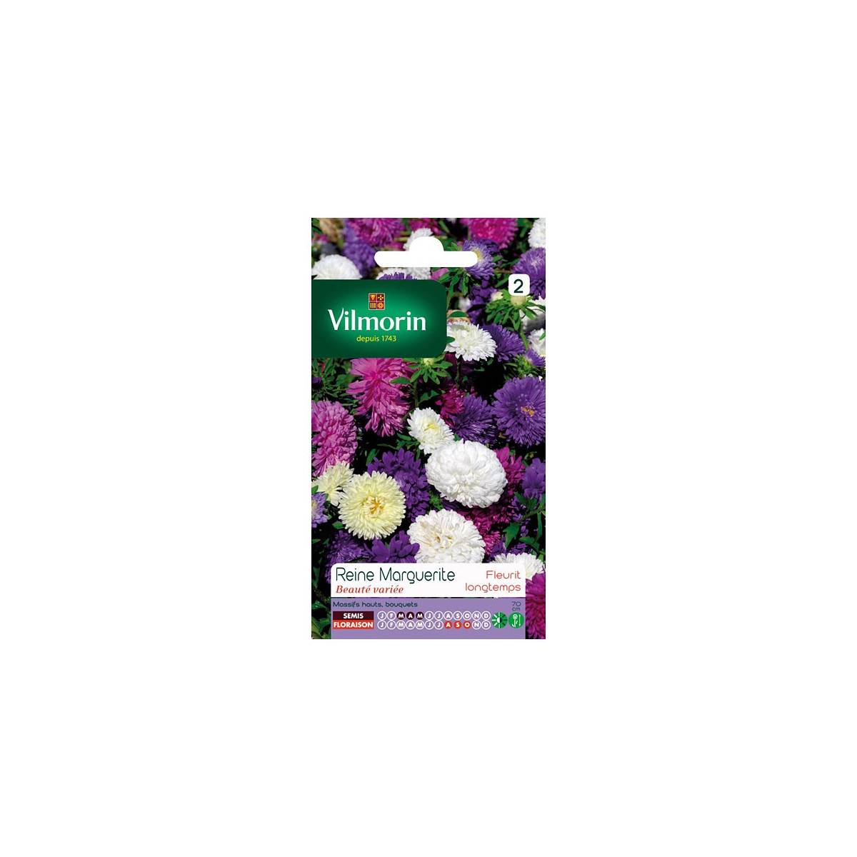 Sachet graines Reine Marguerite Beauté variée